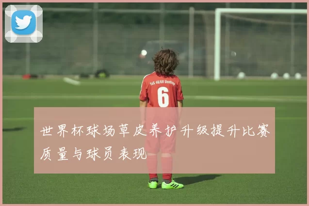 世界杯球场草皮养护升级提升比赛质量与球员表现