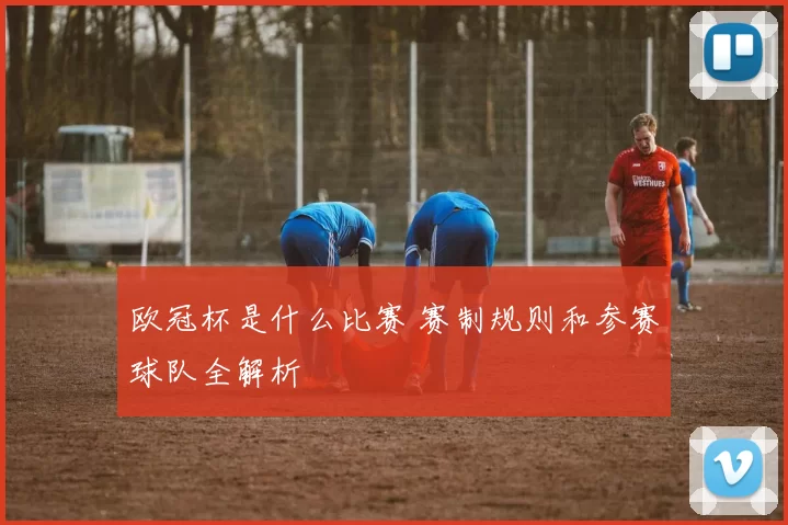 欧冠杯是什么比赛 赛制规则和参赛球队全解析
