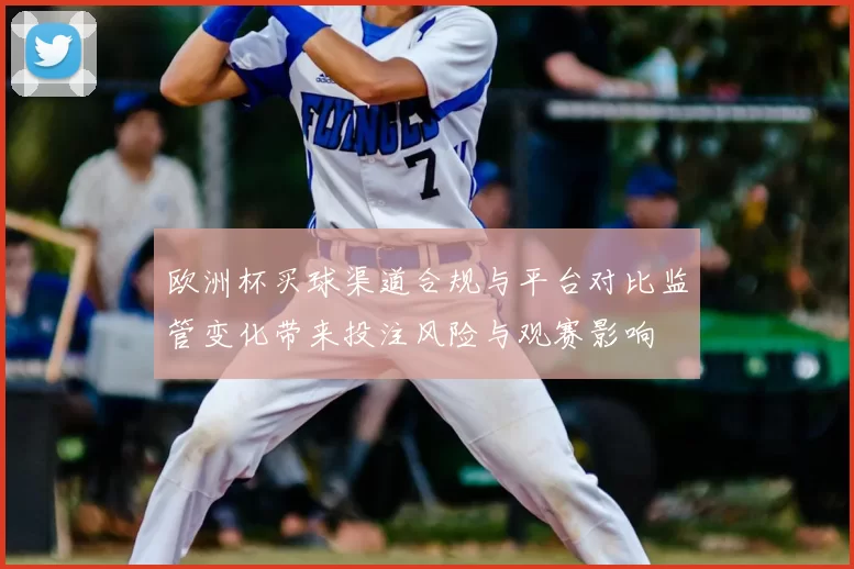 欧洲杯买球渠道合规与平台对比监管变化带来投注风险与观赛影响