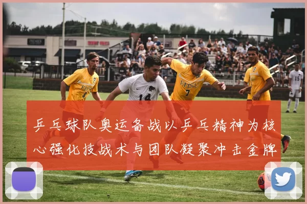 乒乓球队奥运备战以乒乓精神为核心强化技战术与团队凝聚冲击金牌