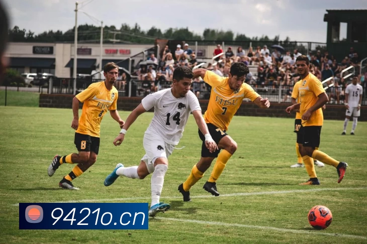 betway必威(西汉姆联)官方网站 - OfficialP平台生态图